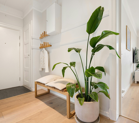 Bright entryway with light wood flooring